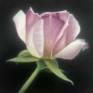 9B7066DC-BD66-4EB6-94A6-34653DFC024C_1_201_a