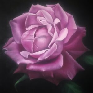 EF674D57-41EF-4183-B351-D050ED8352BB_1_201_a